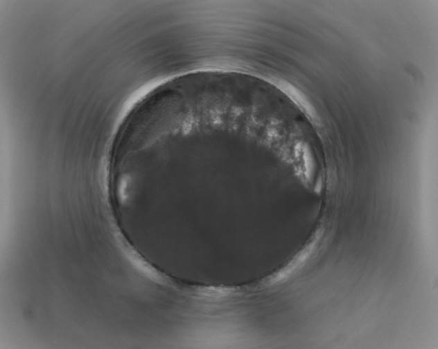 X0000113260854200910081338