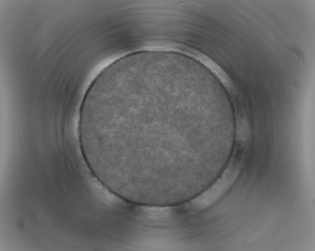 X0000113260856200910081338
