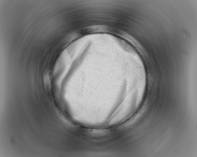 X0000113260857200910081338