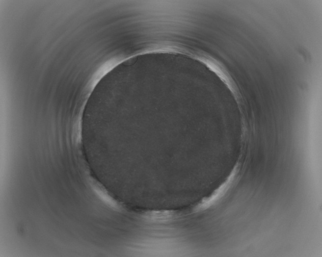X0000113260858200910081338