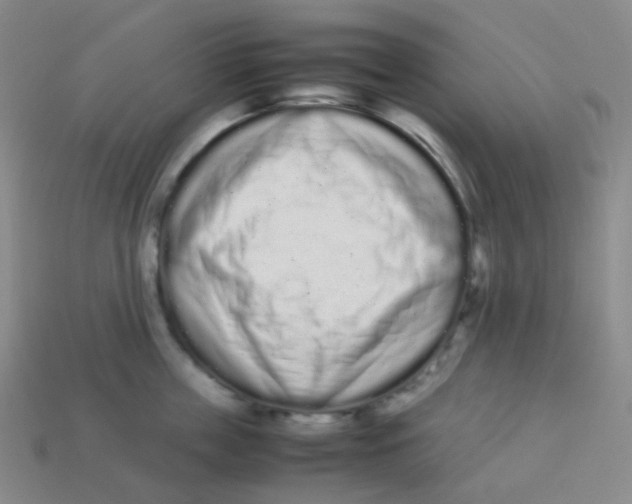 X0000113260859200910081338
