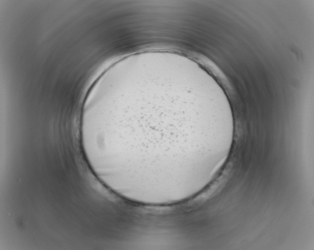 X0000113260860200910081338