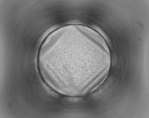 X0000113260861200910081338