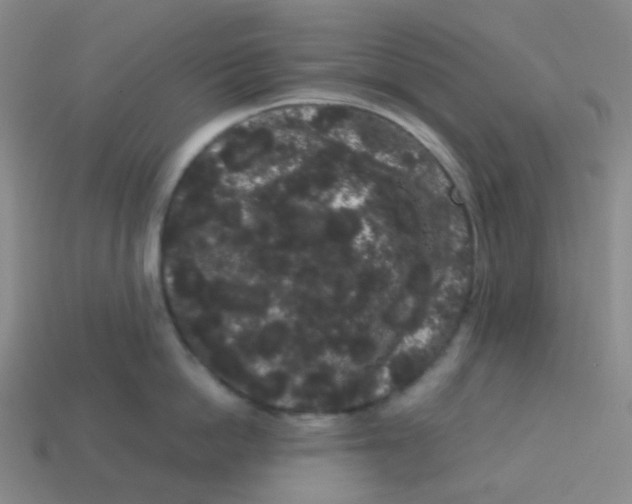 X0000113260862200910081338