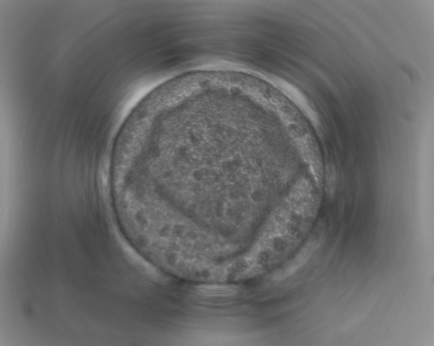X0000113260863200910081338