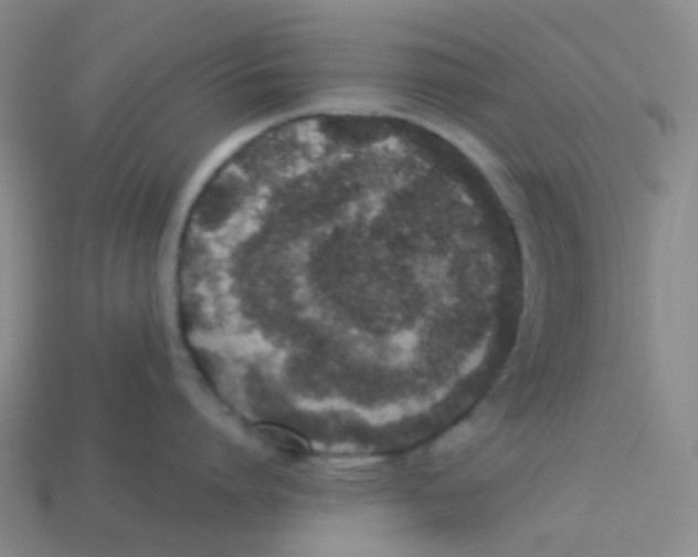 X0000113260864200910081338
