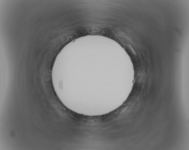 X0000113260865200910081337
