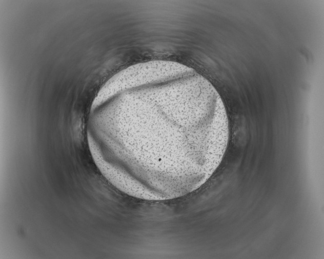 X0000113260866200910081337