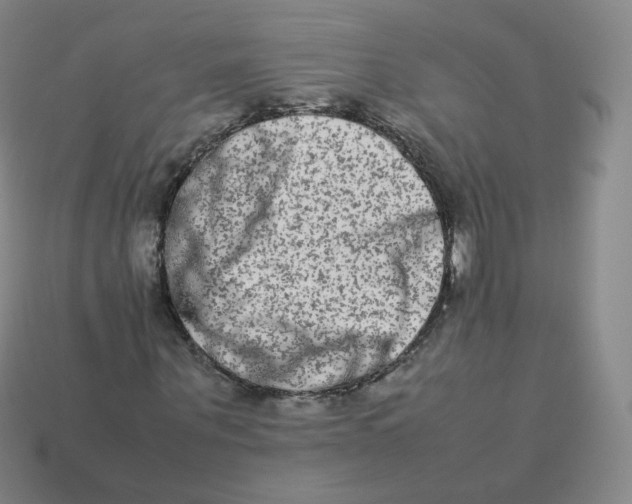 X0000113260867200910081337