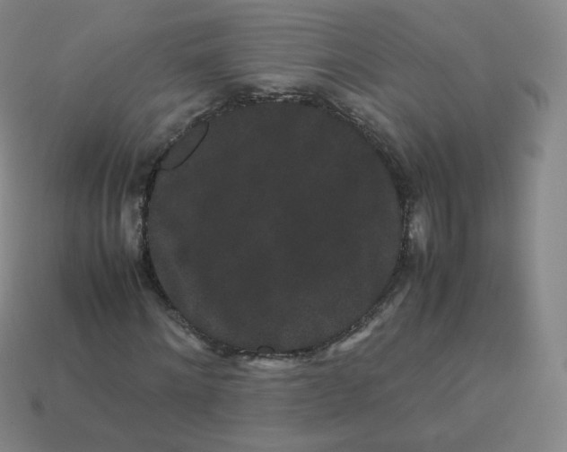 X0000113260868200910081337