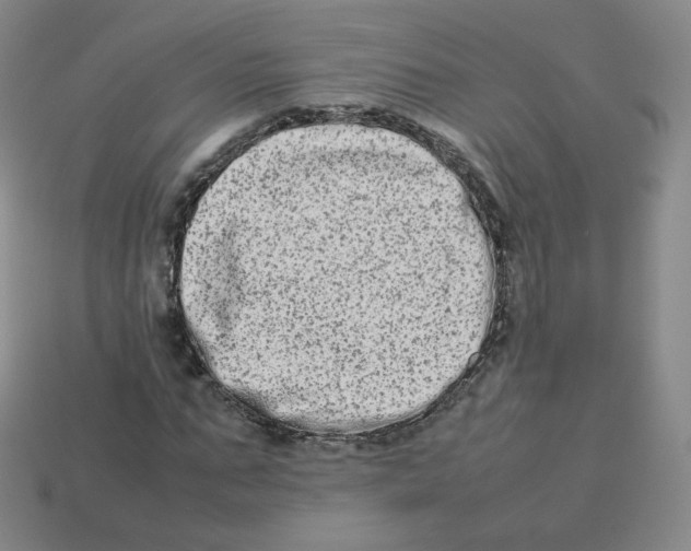 X0000113260871200910081337