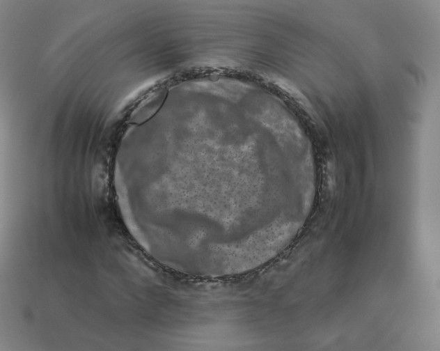 X0000113260872200910081337