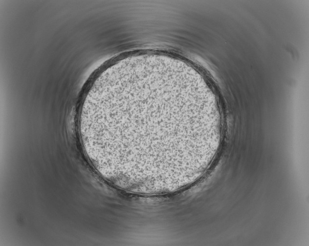 X0000113260875200910081337