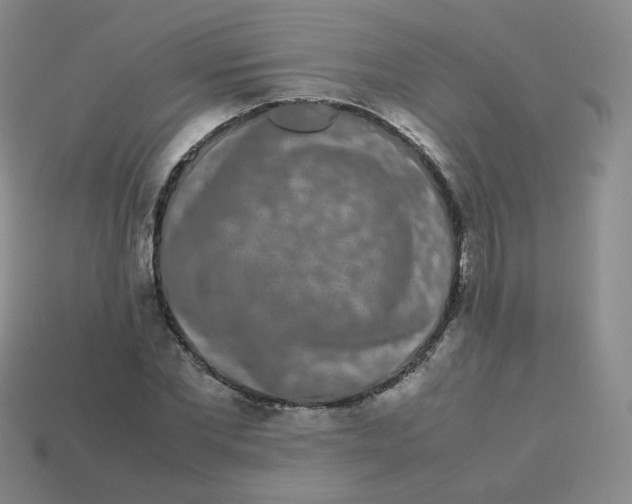 X0000113260877200910081337