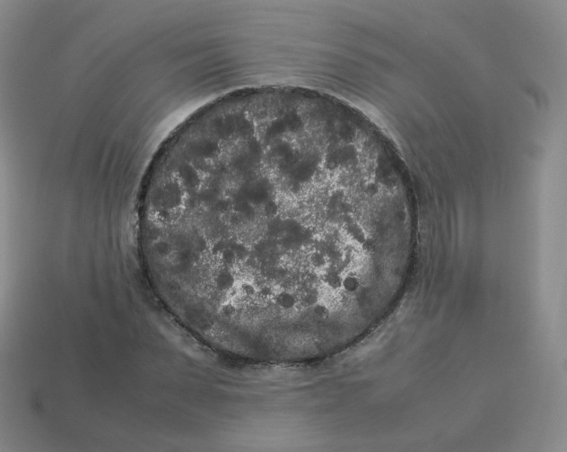 X0000113260879200910081337