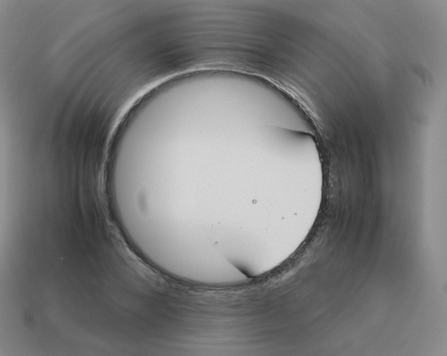 X0000113260880200910081337