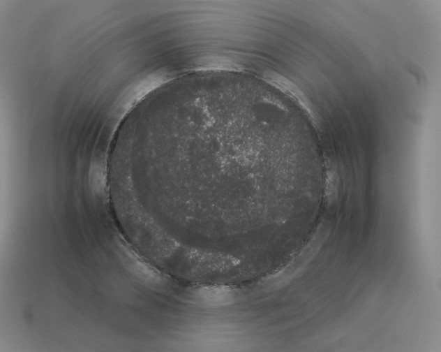 X0000113260882200910081337