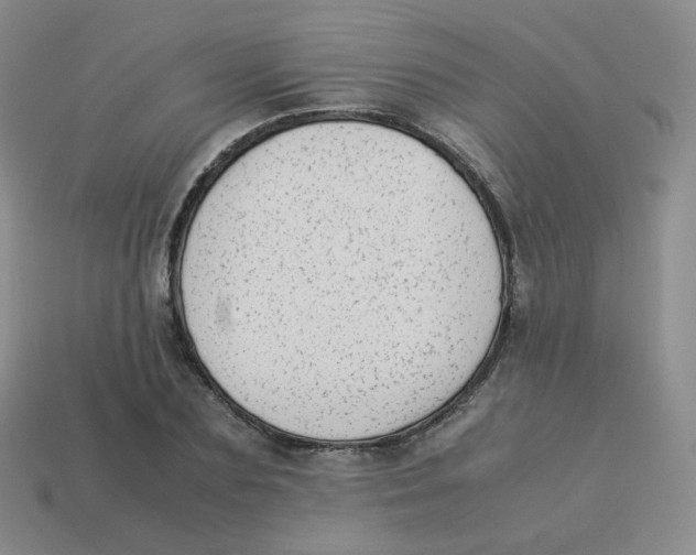 X0000113260883200910081337