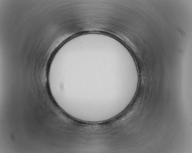 X0000113260885200910081337
