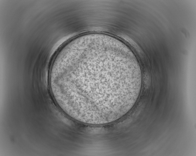 X0000113260886200910081337