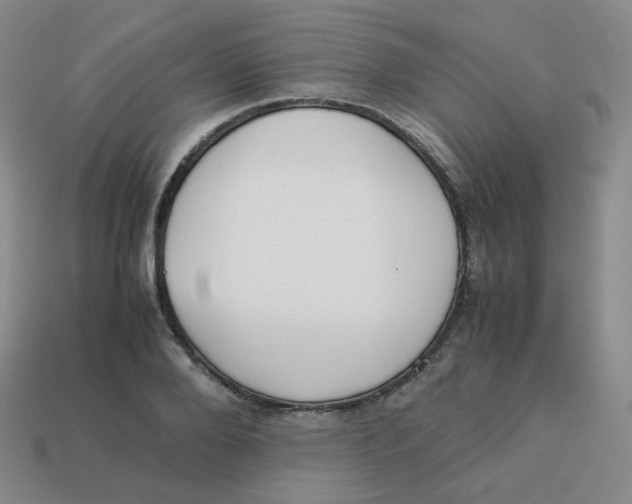 X0000113260888200910081337