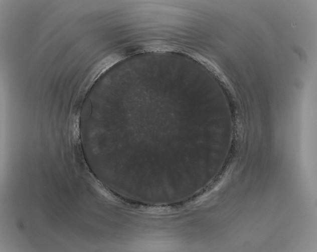 X0000113260889200910081337