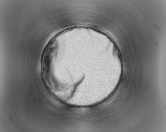X0000113260891200910081337