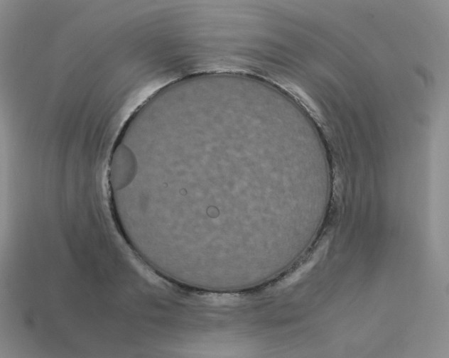 X0000113260893200910081337