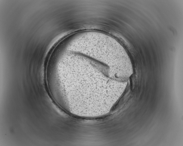 X0000113260894200910081337