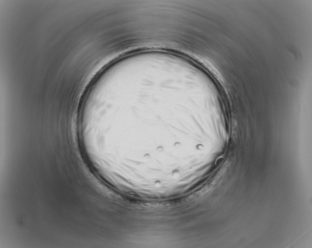 X0000113260895200910081337