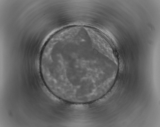 X0000113260896200910081337