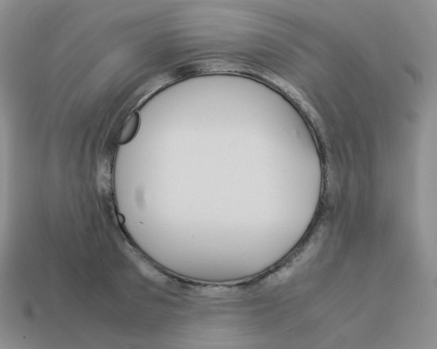 X0000113260897200910081337