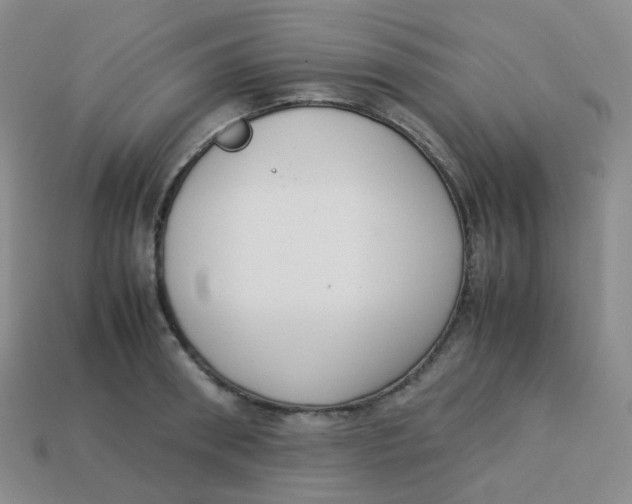 X0000113260898200910081337