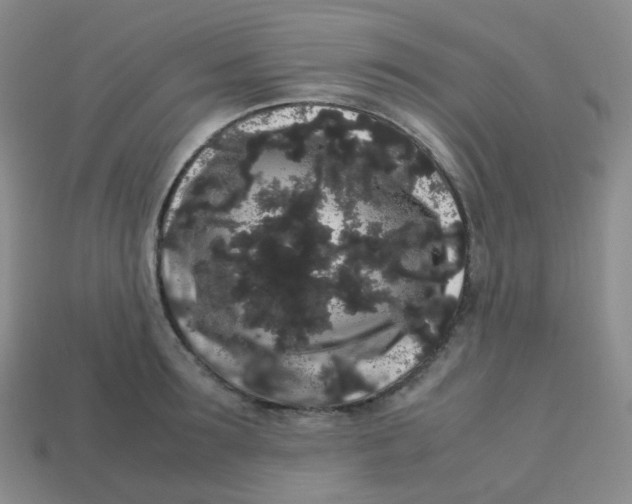 X0000113260899200910081337