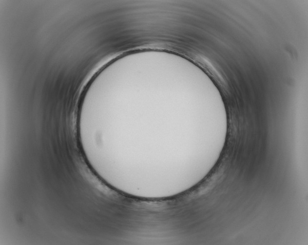 X0000113260900200910081337
