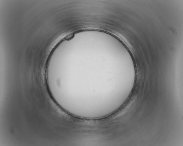 X0000113260901200910081337