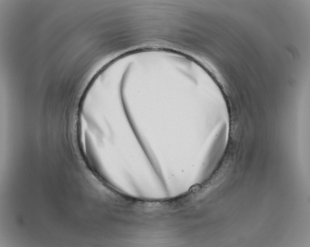 X0000113260903200910081337