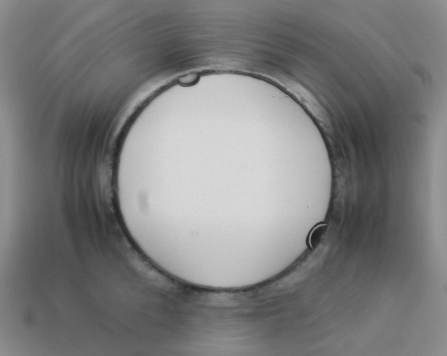 X0000113260904200910081337