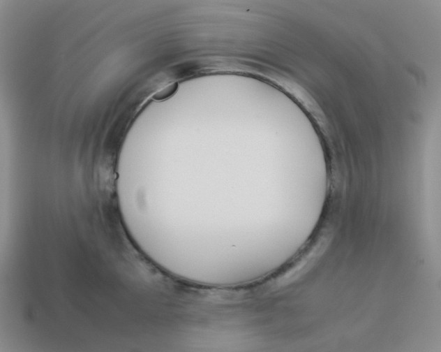 X0000113260905200910081337