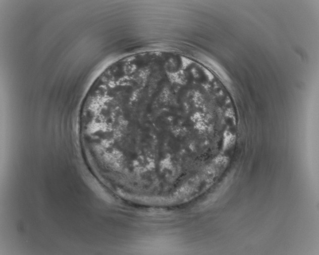 X0000113260907200910081337