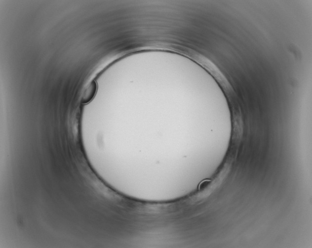 X0000113260908200910081337