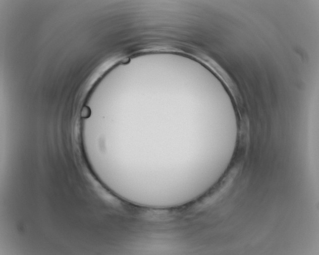 X0000113260909200910081337
