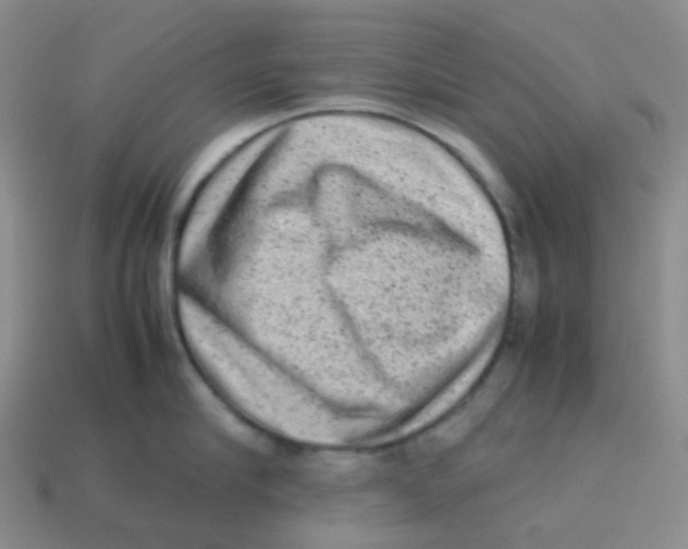 X0000113260910200910081337