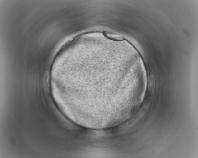X0000113260911200910081337
