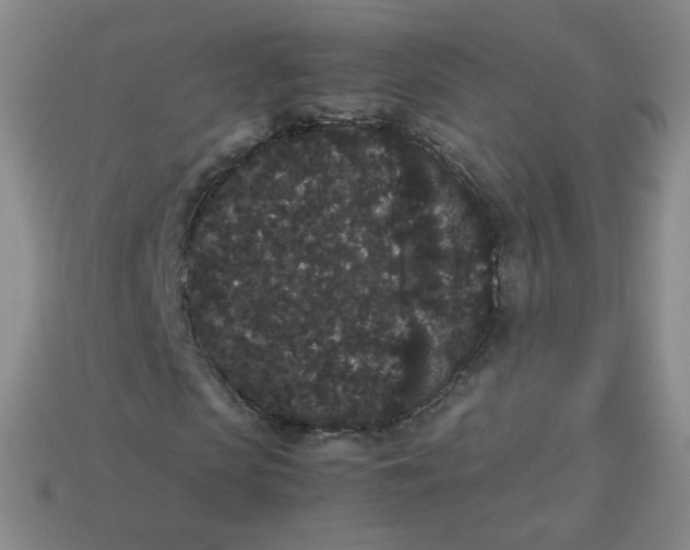 X0000113260913200910081336