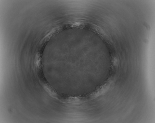 X0000113260914200910081336