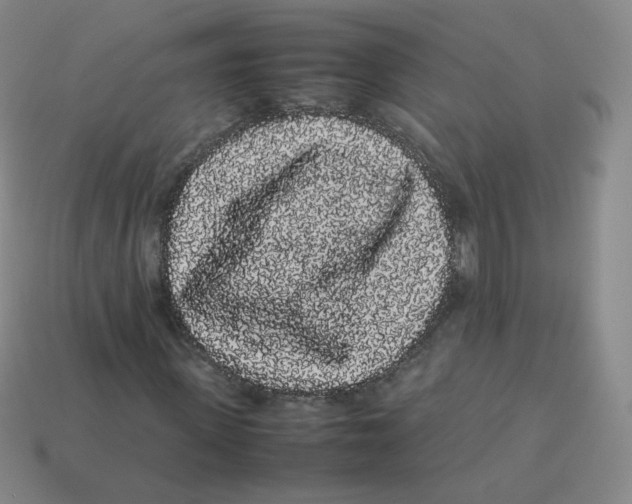 X0000113260915200910081336