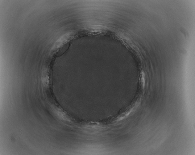 X0000113260916200910081336