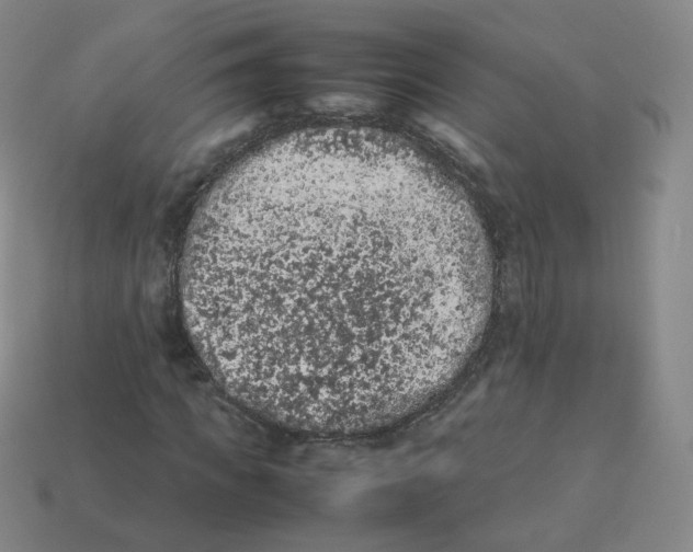 X0000113260917200910081336