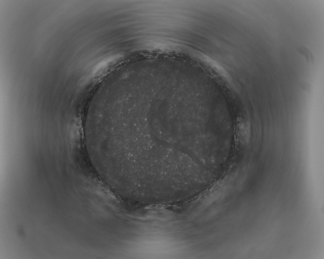 X0000113260918200910081336